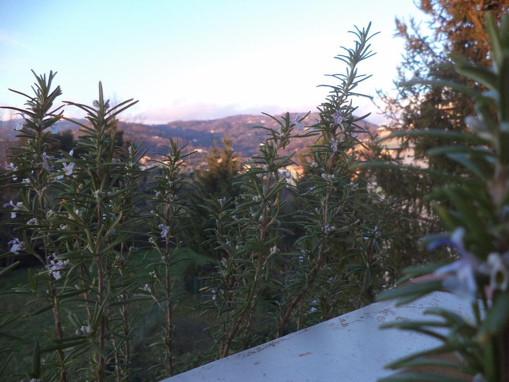 Apartment Montecatini-Terme Near Firenze, Lucca, Pisa חדר תמונה